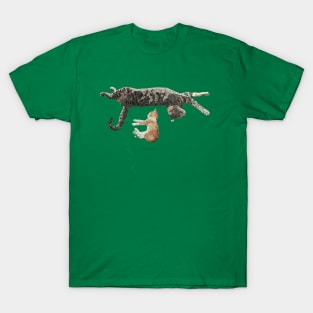 Kitten Nap T-Shirt